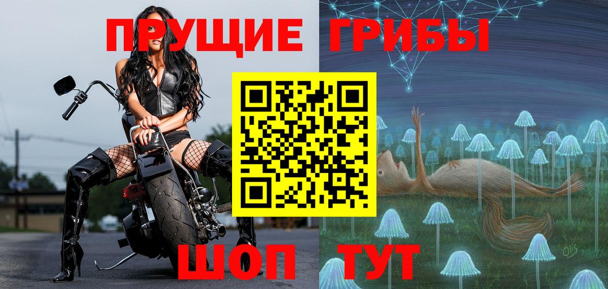 Тамбов  где купить наркоту  Вход с VPN  Псилоцибиновые грибы мухоморы 