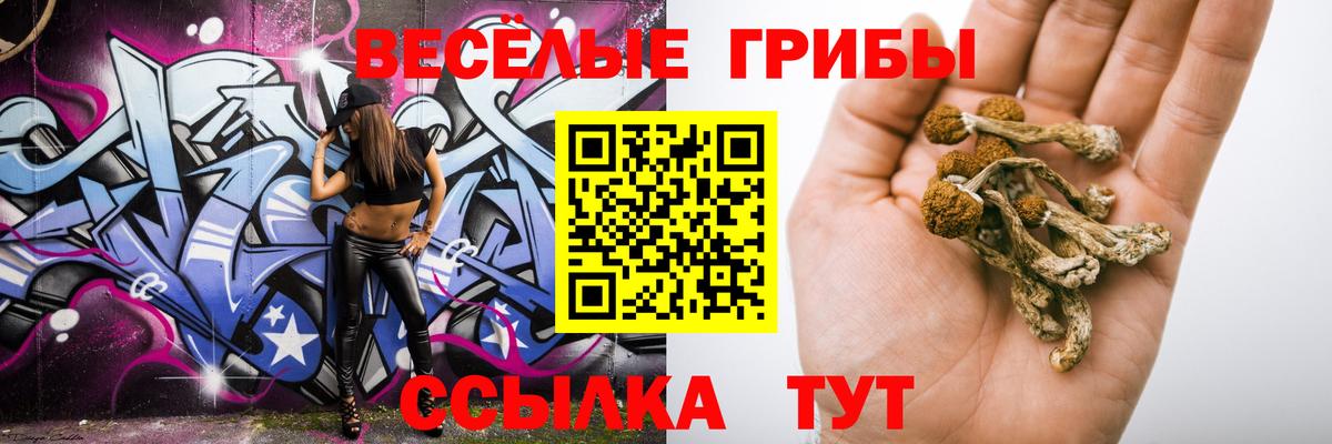 Галлюциногенные грибы MAGIC MUSHROOMS Тамбов